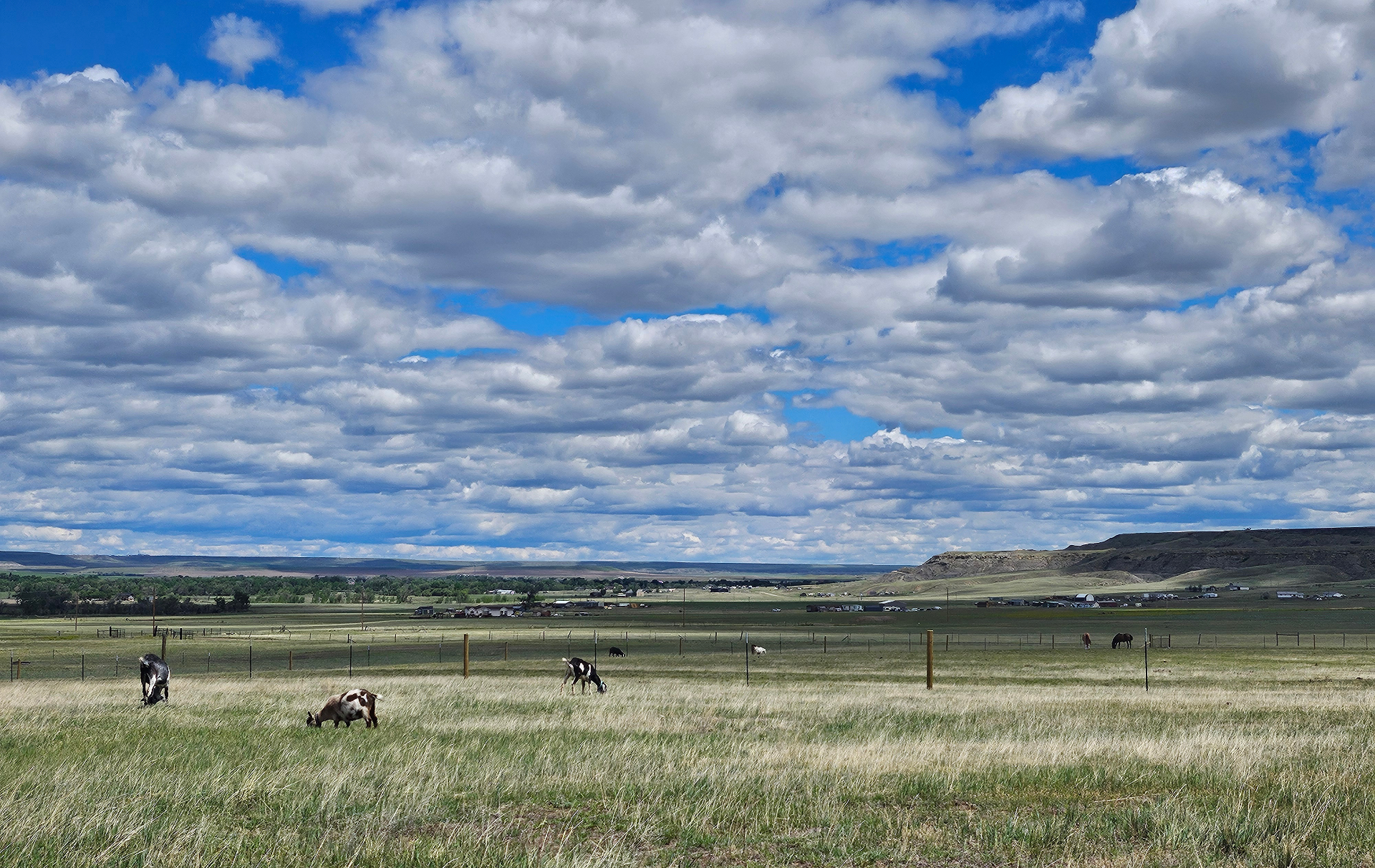 Rolling green pasture with a wooden barn at golden hour